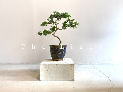 ザ ライト(The Light)の写真