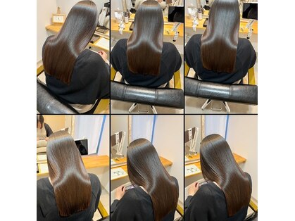 ラドル(radol)の写真