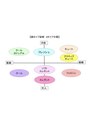 フラッタ(flata) 顔タイプ診断