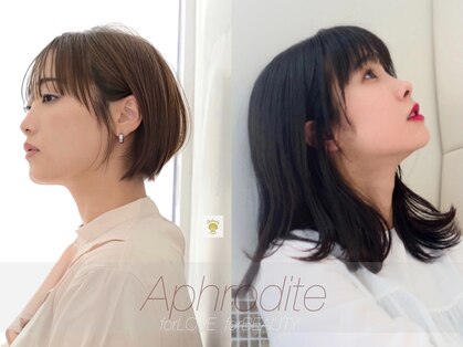 アフロディーテ 泉中央店(Aphrodite)の写真