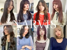 ナービス(NARVIS)