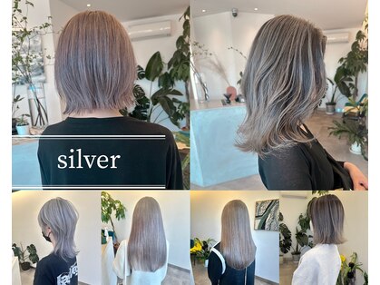 フェーディン(fa/din)の写真