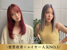 ラディックス(LADiX)