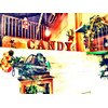 キャンディベルベット(Candy Velvet)のお店ロゴ
