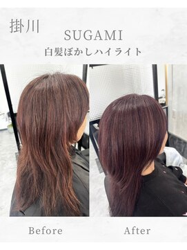 スガミ(SUGAMI) 白髪ぼかしハイライト