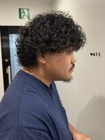 ウォルト(walt)&nbsp;個性派アフロ