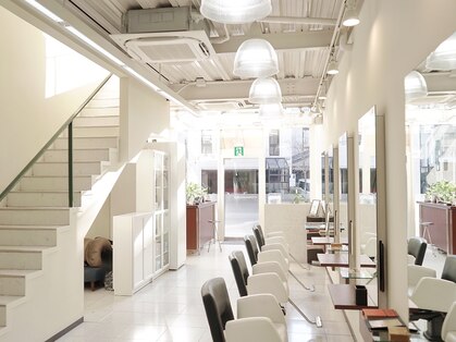 マテカ ヘアー(mateca hair)の写真