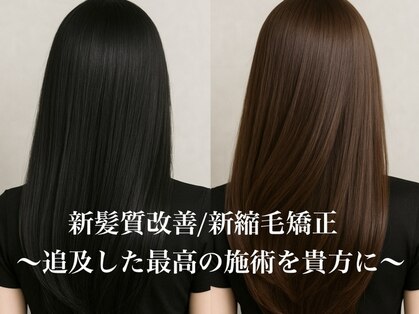 サカマキ アーティステラの写真