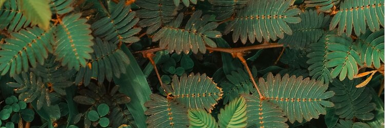 ミノリッド 勝川本店(MINORID)のサロンヘッダー