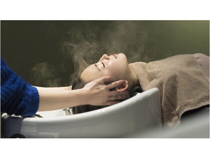 エミュ(emu)の写真