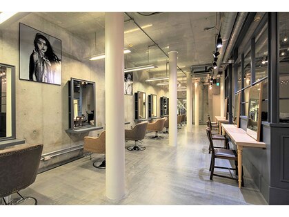 マグノリア(MAGNOLIA)の写真