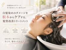 オーガニック 湘南藤沢オーパ店(Organic)の雰囲気（髪質改善をしながら白髪染めでツヤ髪に☆　Organic湘南藤沢店）