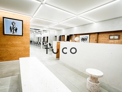 トゥコ(tuco)の写真