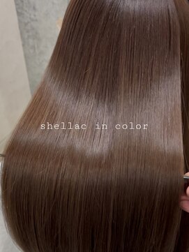 シタ 清澄白河(sita) セラックinカラー×つやブラウン