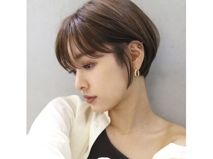 ロア(loa)の写真