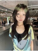 ポイントグラデーションウルフ