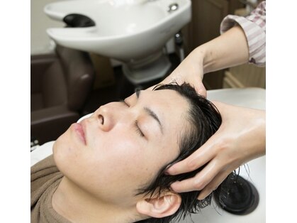 キャッチオールヘア(CATCH ALL HAIR)の写真