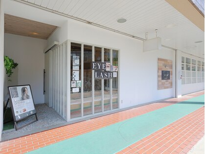 ツインエイトプラス(Twin eight plus+)の写真