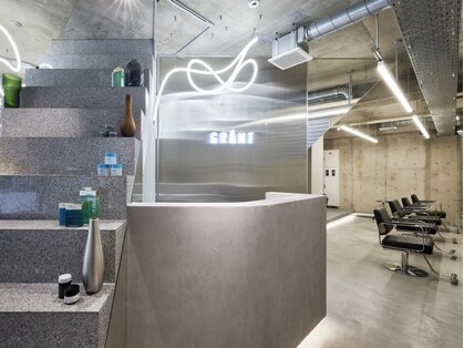 グラント(GRANT)の写真