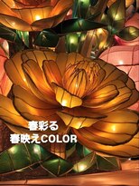 シャルシェ(Chercher)&nbsp;春ブリーチCOLOR