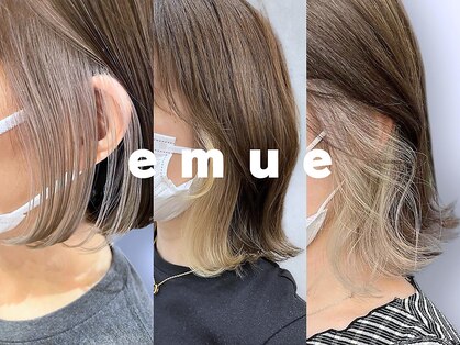 エミュー(emue)の写真