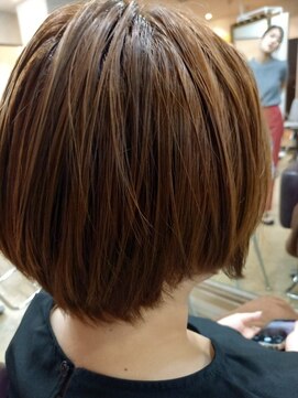 シャンプーボーイ ショート