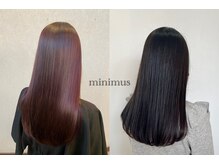ミニマス(minimus)