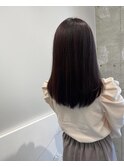 艶ラベンダー