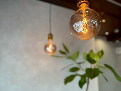 アルム(arum)の写真