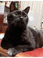 アンプヘアー 六地蔵店(unpeu hair) 我が家の猫ちゃん☆いつも私を癒してくれる存在です!