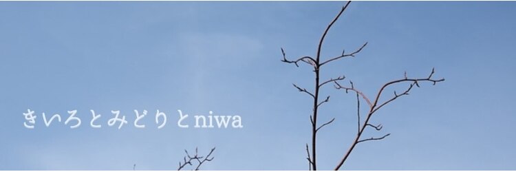 きいろとみどりとニワ(きいろとみどりとniwa)のサロンヘッダー