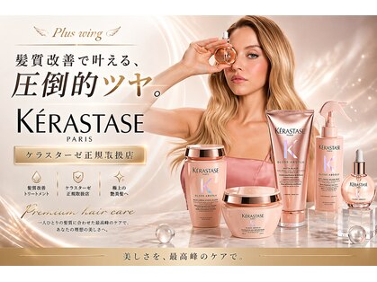 プラスウイング 鶴川(+ WING)の写真