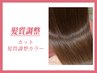 【髪質調整】カット+髪質調整カラー【改善Lv☆】 ¥17600→14850