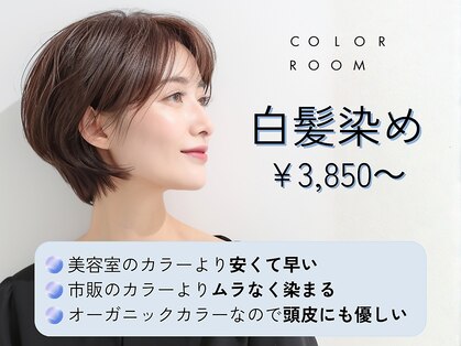 カラールーム 長束店(COLOR ROOM)の写真