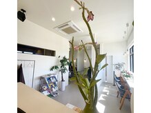 スコヘアー(suco hair)の雰囲気（朝日が差し込む　sucohair待合）
