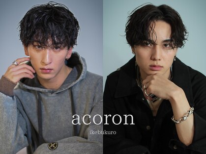 アコロン(acoron.)の写真