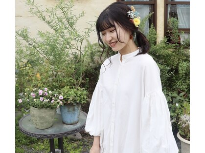 ニコ(niko)の写真
