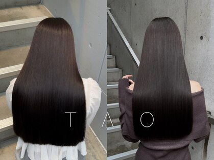 タオ(TAO)の写真