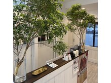 トゥーユー(to U.)の雰囲気（植物と美髪商材が◎）