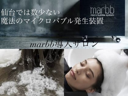 アネラ(ANELA)の写真