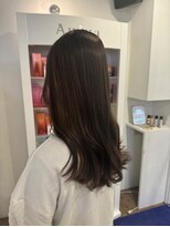 ヨーク(YOKE)&nbsp;olive brown