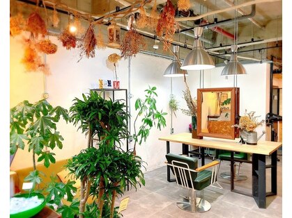 ヌーヘアーフォルマ(N.U hair=forma)の写真