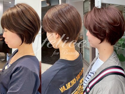 フェリーチェ(felice)の写真