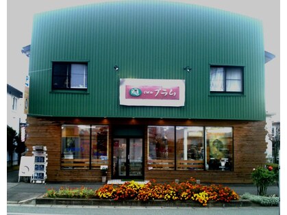 カットインプラムの写真