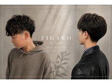 フィガロ バイ テイラー(FIGARO by Taylor)