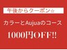 【￥1000OFF！午後からクーポン】イルミナorオーガニック&オージュアがお得
