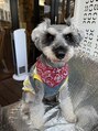 ヴェール レッシュブ 鎌ヶ谷店(Belle Lecheveu) 美容師はトリミングもできます^^