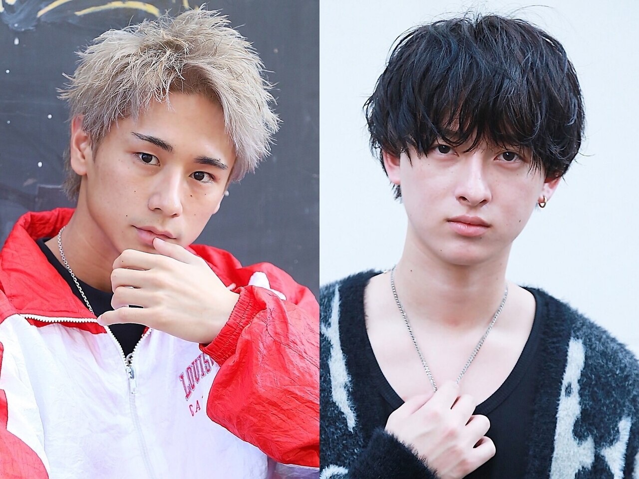 ロングコート・チワワ フォーン＆ホワイト 男の子 ベイタウン