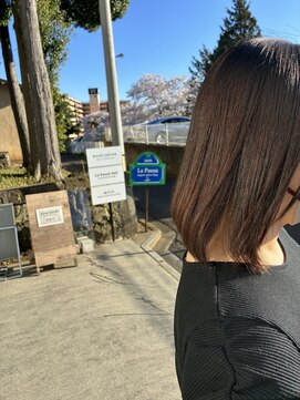 ラポーザヘア(La Pausa Hair) ナチュラルバイオレット