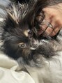 ジィップクリニカ(Zip clinica) 愛犬のいこまちゃんです◎